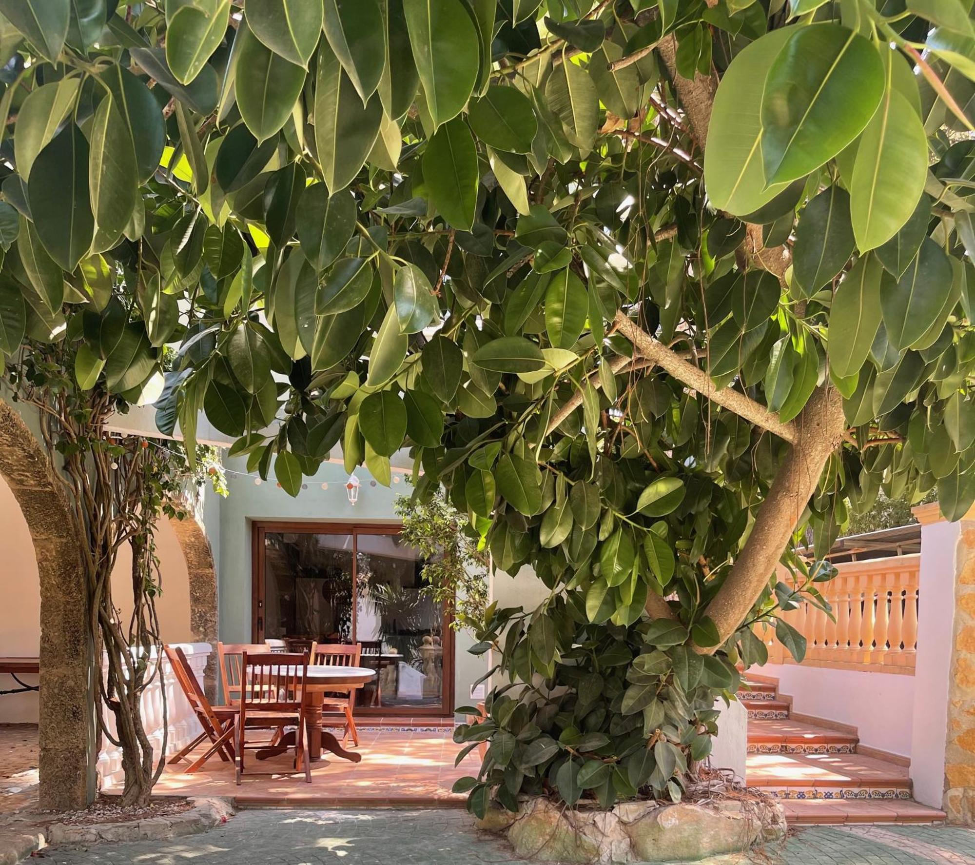 La Posada Paradiso Jávea Eksteriør billede